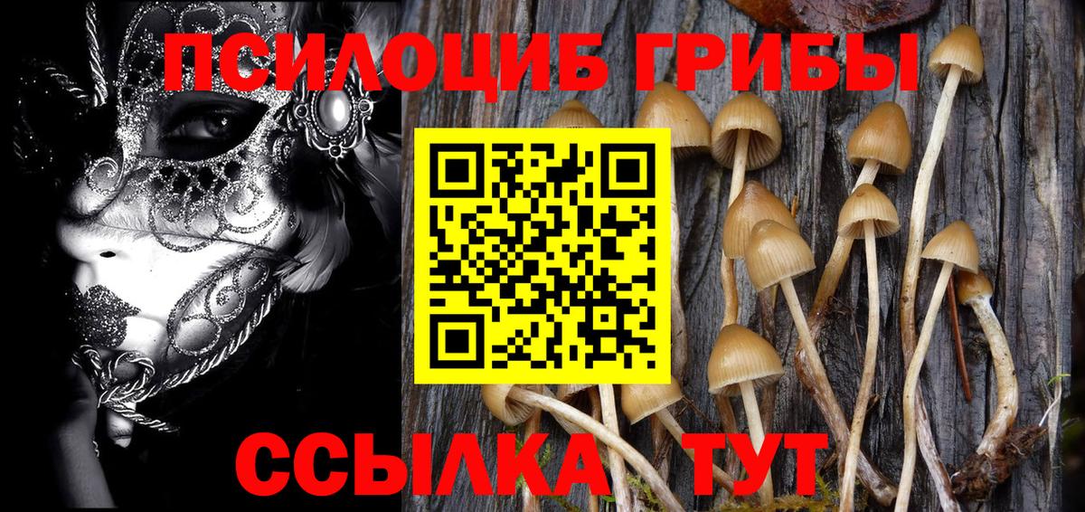 Кириши  Псилоцибиновые грибы мицелий  Вход с VPN 