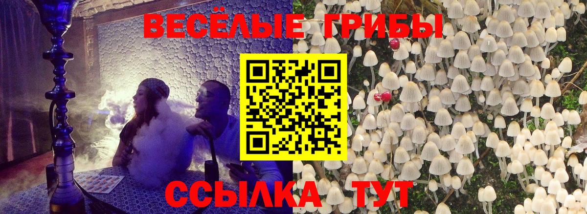 Псилоцибиновые грибы прущие грибы Кириши
